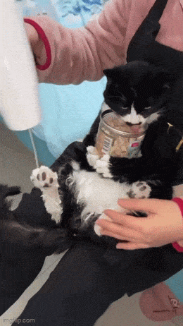 Acid GIFs, February 26 (25 gifs)