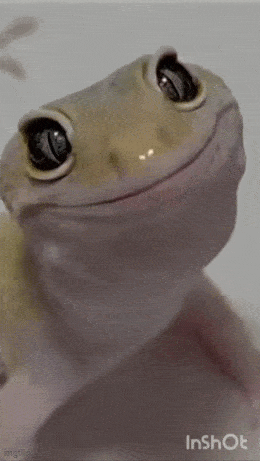 Acid GIFs, February 26 (25 gifs)