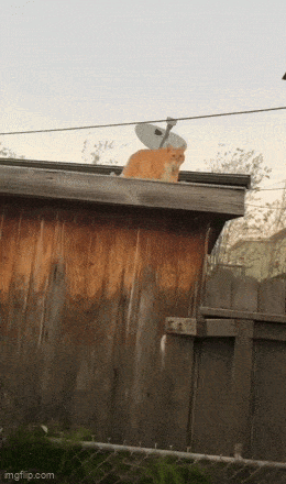 Acid GIFs, February 26 (25 gifs)