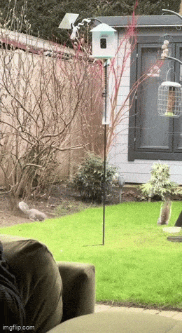 Acid GIFs, February 26 (25 gifs)