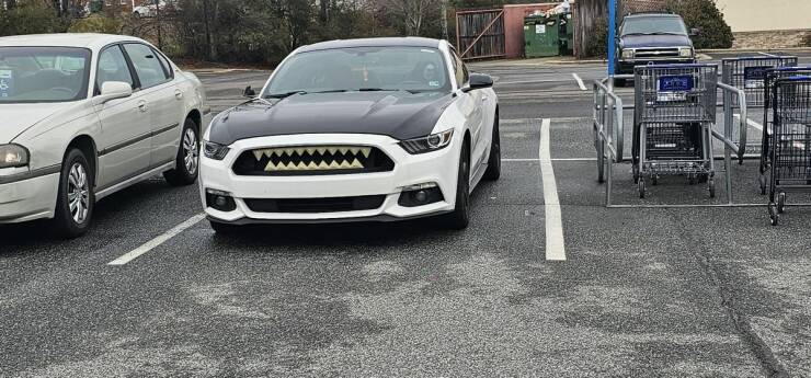 Crazy Cars (20 pics)