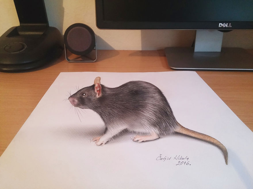 Incredibly Realistic Drawings (20 pics)