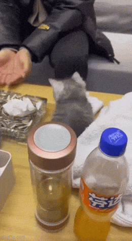 Acid GIFs, February 28 (25 gifs)