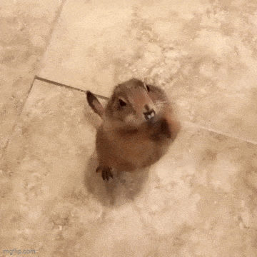 Acid GIFs, February 28 (25 gifs)