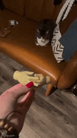 Acid GIFs, February 28 (25 gifs)