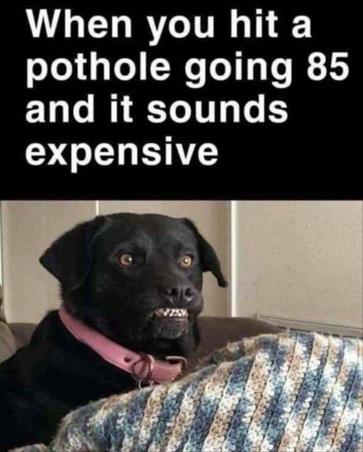 Daily Pictures. Part 2 (69 pics)