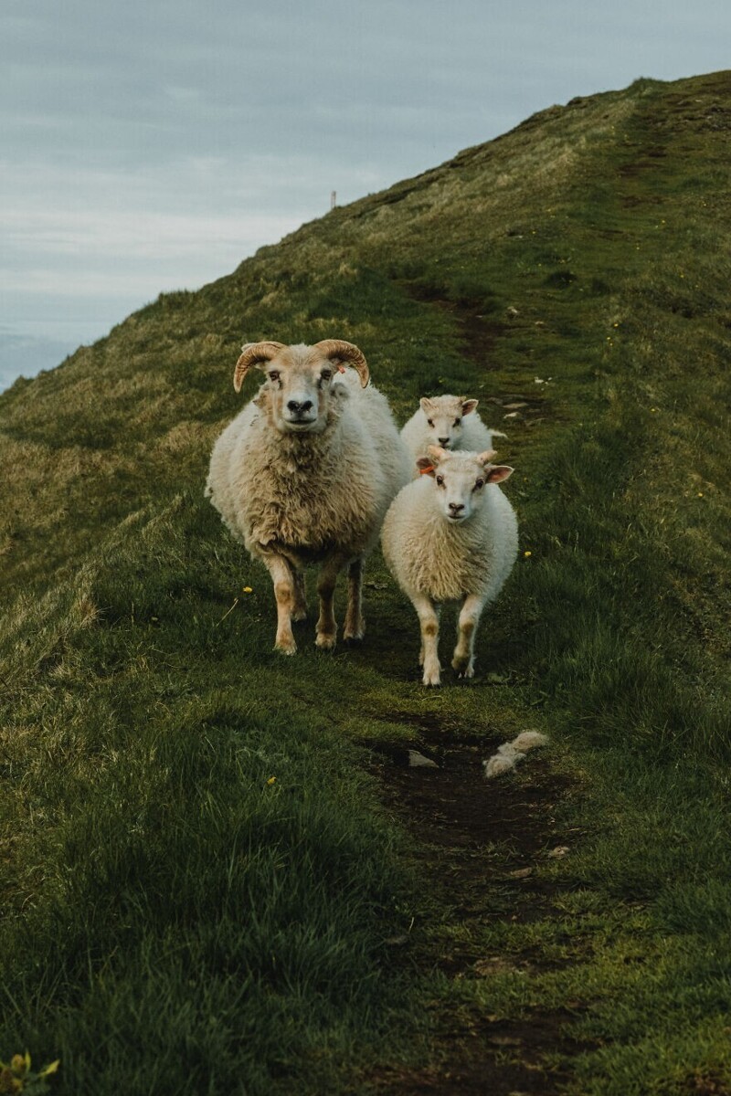 Stunning Photos Of Iceland (20 pics)