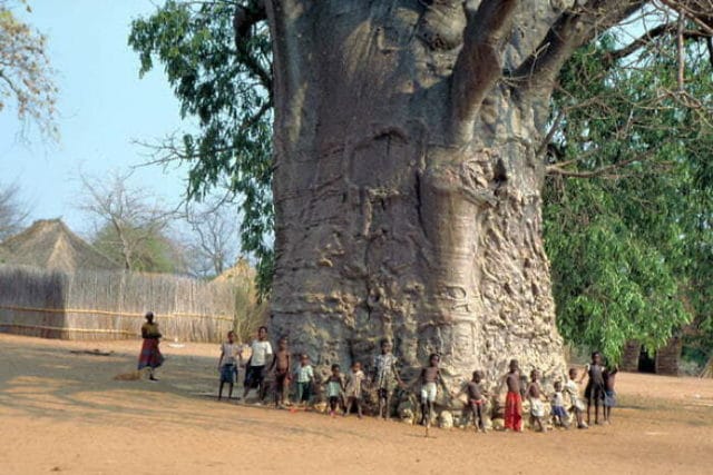 Giant Things (20 pics)
