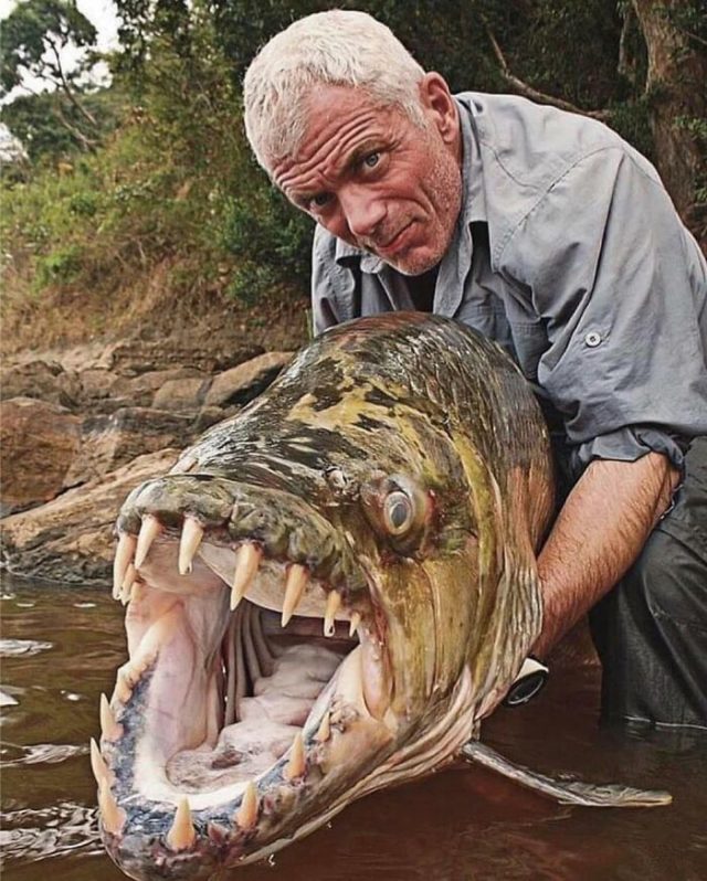Giant Things (20 pics)