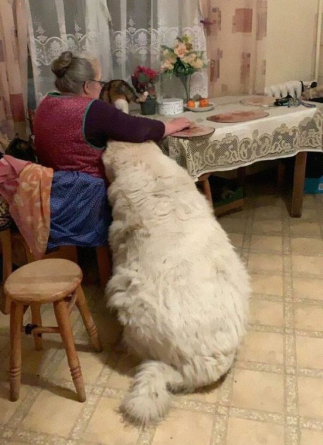 Giant Things (20 pics)
