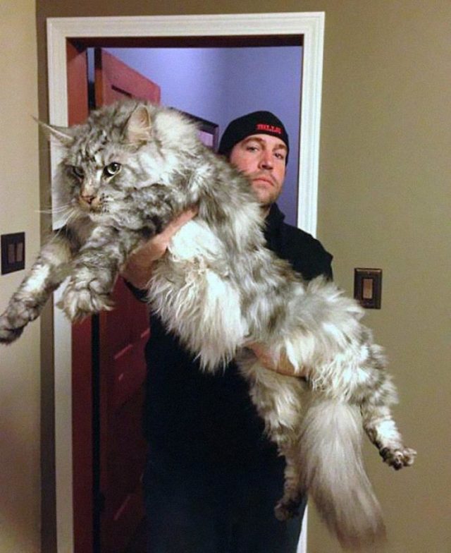 Giant Things (20 pics)