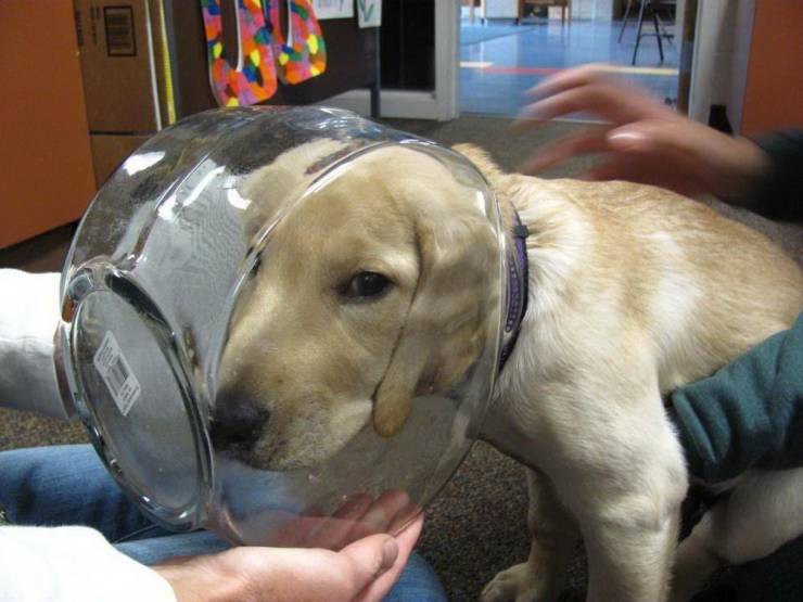 Bad Days Happen (20 pics)