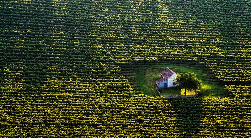Perfect Houses For Introverts (19 pics)