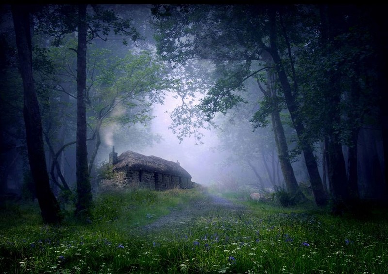 Perfect Houses For Introverts (19 pics)