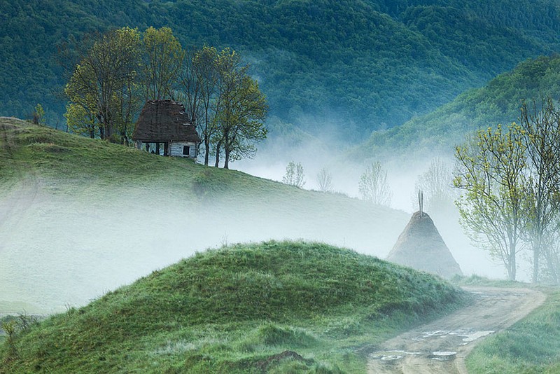 Perfect Houses For Introverts (19 pics)