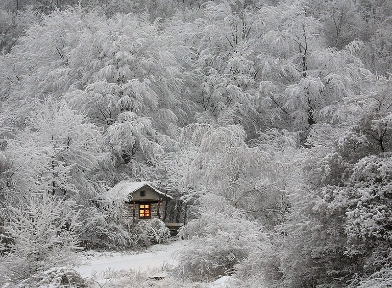 Perfect Houses For Introverts (19 pics)