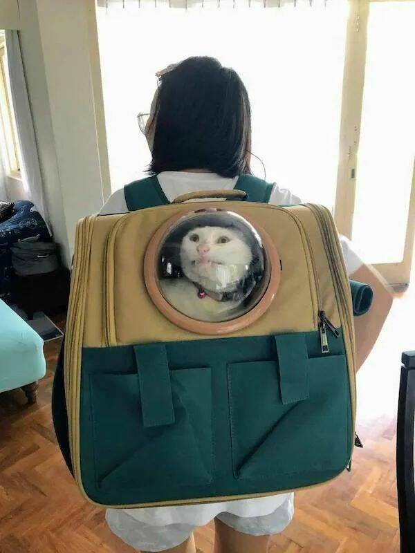 Daily Pictures. Part 1 (70 pics)