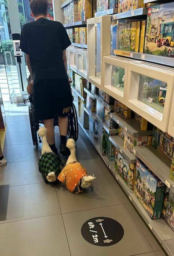 Daily Pictures. Part 1 (70 pics)
