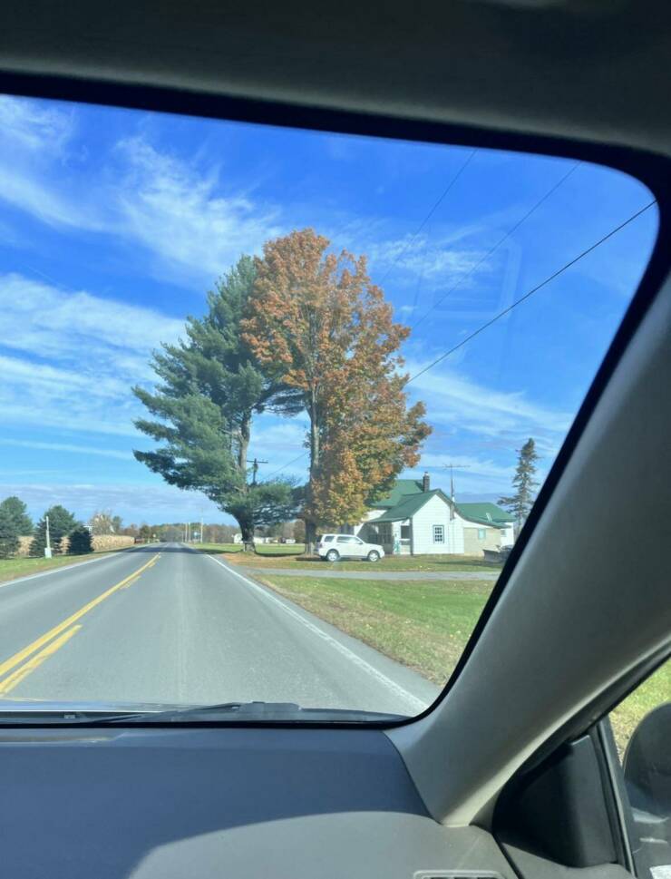 Daily Pictures. Part 2 (68 pics)