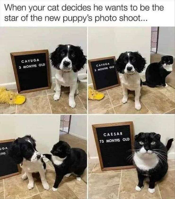 Daily Pictures. Part 2 (68 pics)