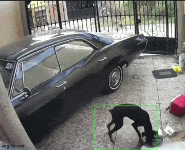 Acid GIFs, March 5 (25 gifs)
