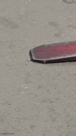 Acid GIFs, March 5 (25 gifs)