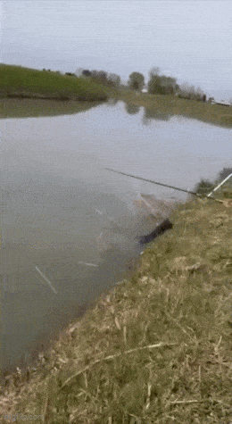 Acid GIFs, March 6 (25 gifs)