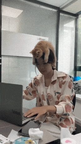 Acid GIFs, March 6 (25 gifs)