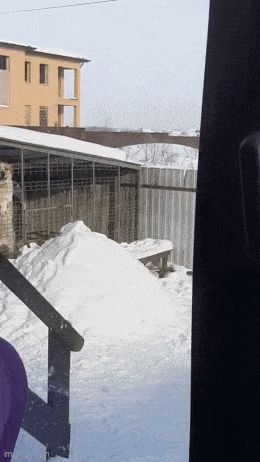 Acid GIFs, March 6 (25 gifs)