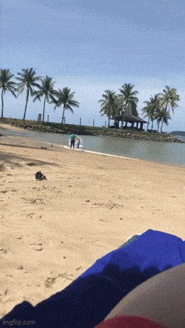 Acid GIFs, March 6 (25 gifs)