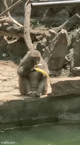Acid GIFs, March 6 (25 gifs)