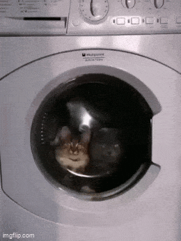 Acid GIFs, March 6 (25 gifs)