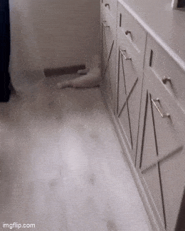 Acid GIFs, March 6 (25 gifs)