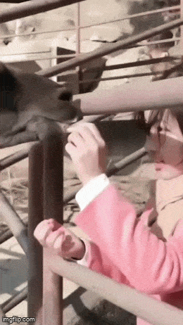 Acid GIFs, March 6 (25 gifs)