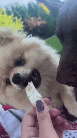 Acid GIFs, March 6 (25 gifs)