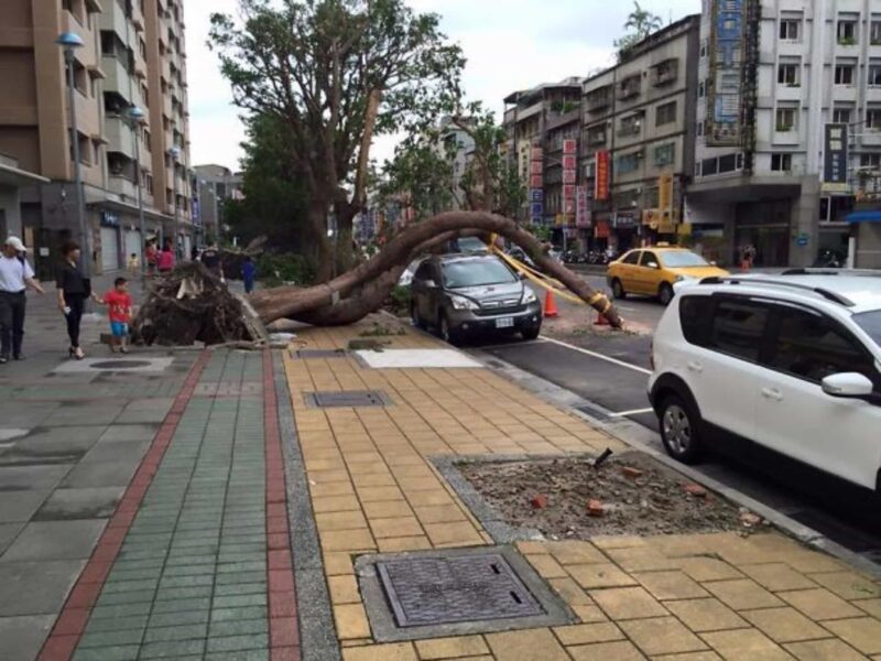 These People Are Lucky (13 pics)