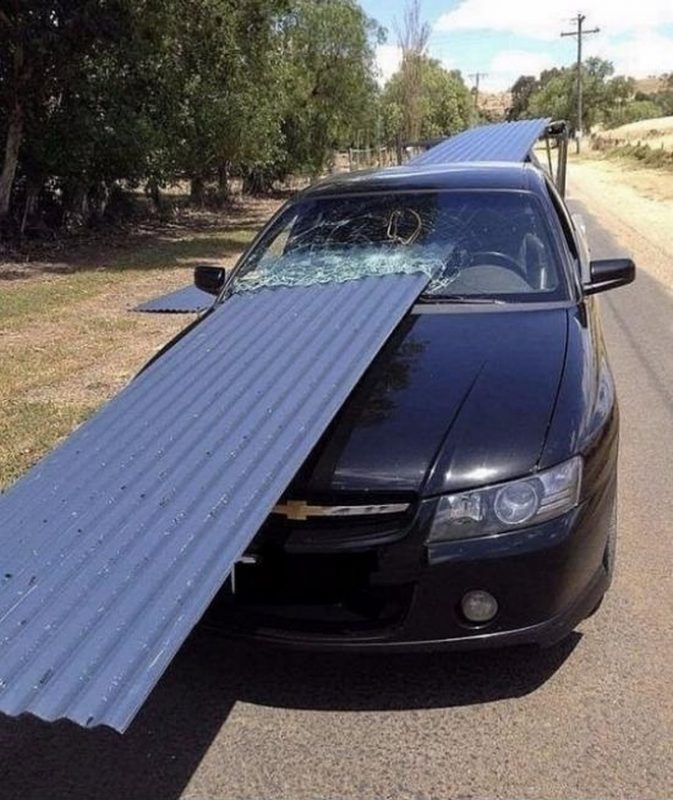 These People Are Lucky (13 pics)