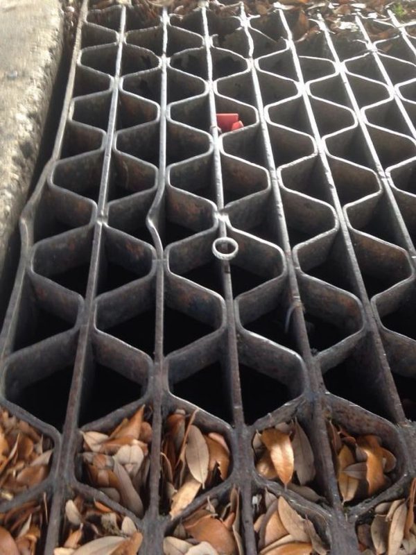 These People Are Lucky (13 pics)