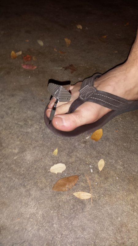 These People Are Lucky (13 pics)