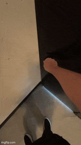 Acid GIFs, March 8 (25 gifs)