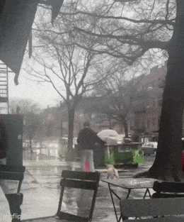 Acid GIFs, March 8 (25 gifs)
