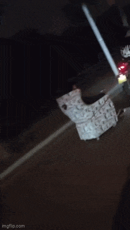 Acid GIFs, March 8 (25 gifs)