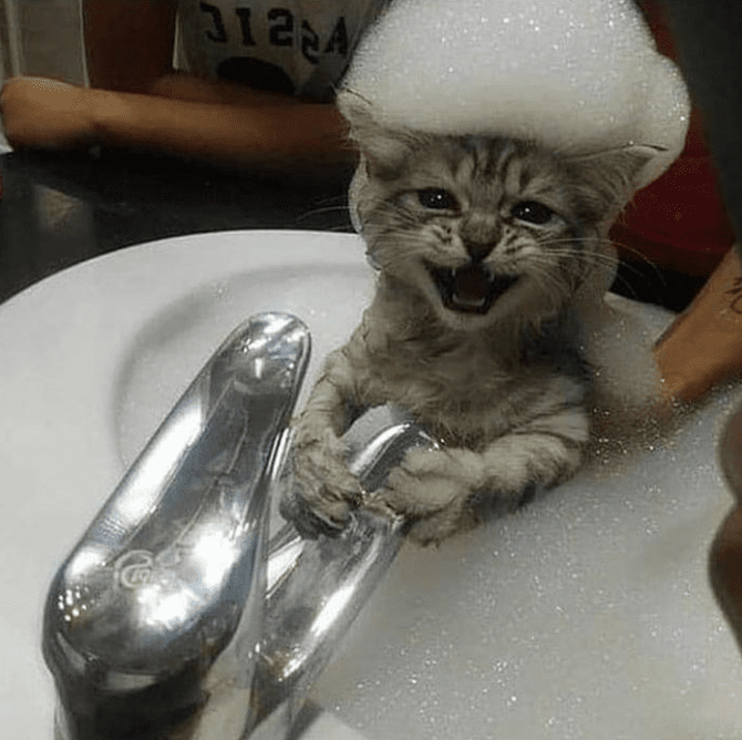 They Don't Like Showering (16 pics)