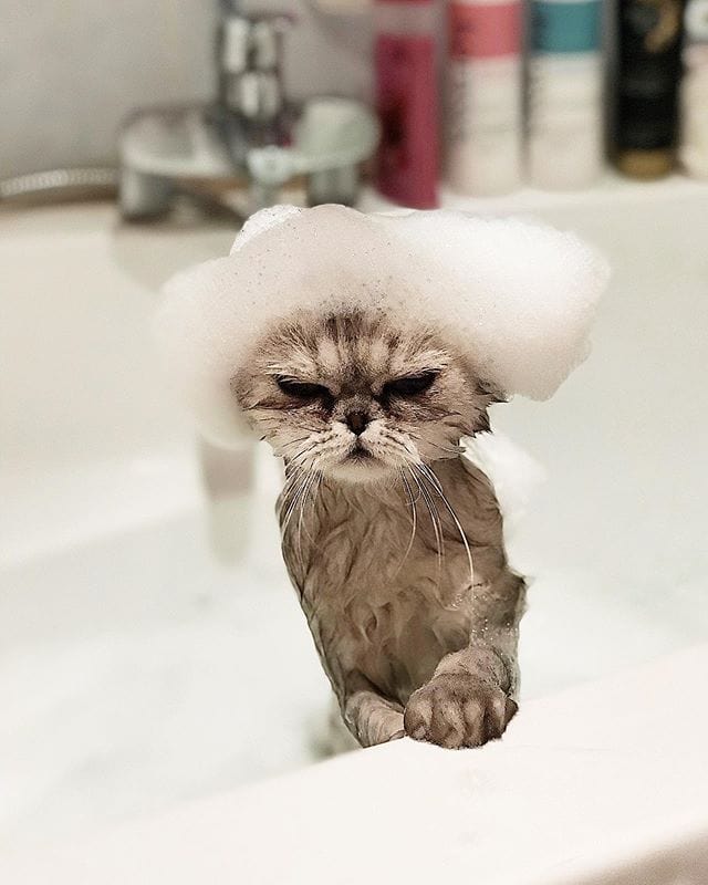 They Don't Like Showering (16 pics)