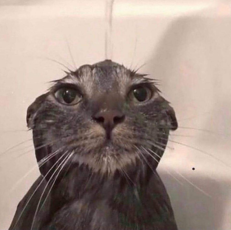 They Don't Like Showering (16 pics)