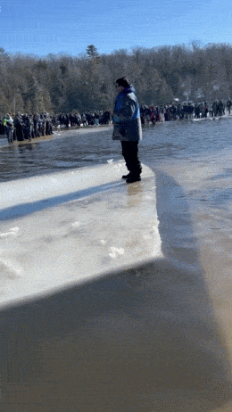 Acid GIFs, March 13 (25 gifs)