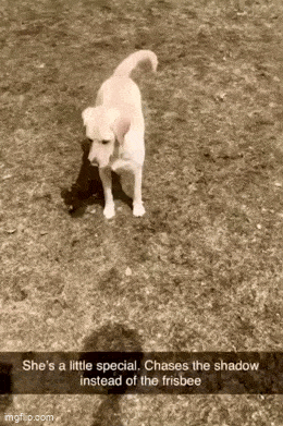 Acid GIFs, March 13 (25 gifs)