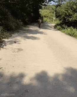 Acid GIFs, March 13 (25 gifs)