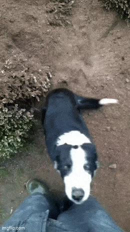 Acid GIFs, March 13 (25 gifs)