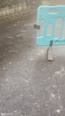 Acid GIFs, March 14 (25 gifs)